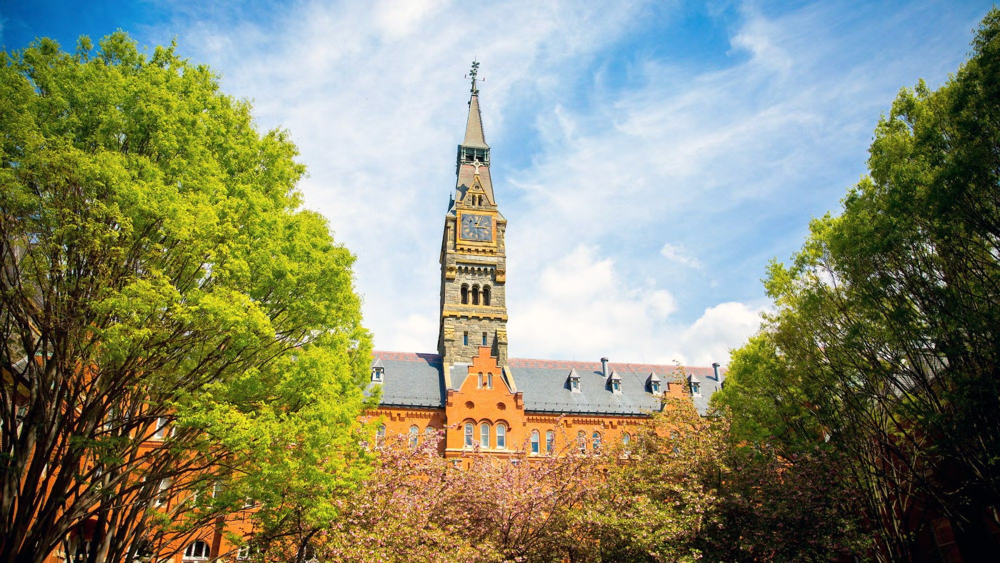 Springtime view of Healy Hall