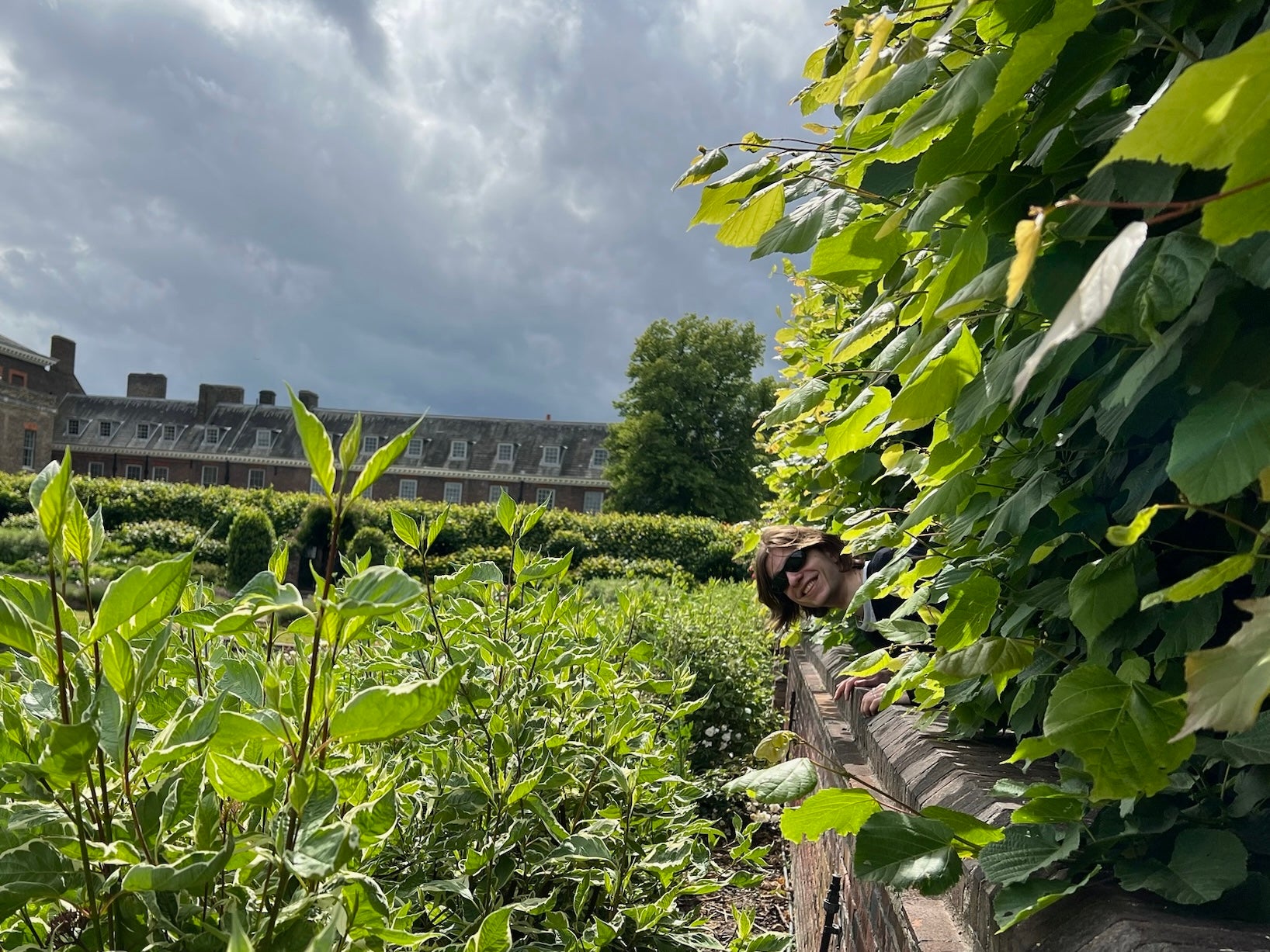 Nick pops his head out the side of a leafy hedge in a comical fashion. 