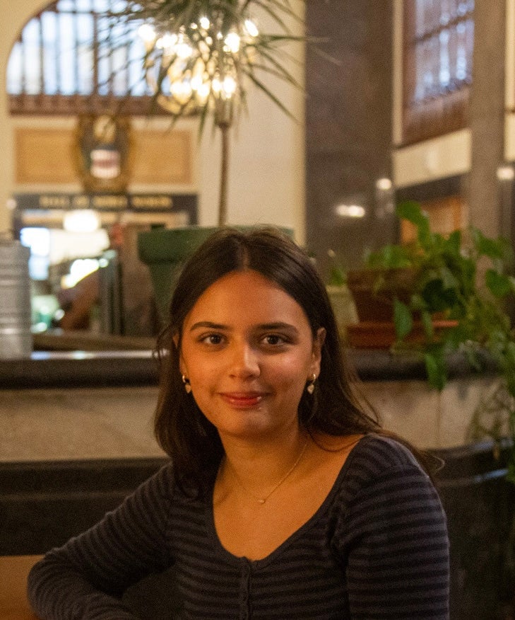 Minza Mirza smiles in a simple purple top, her hair behind her shoulders, in a temple-like background 